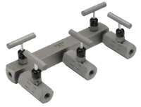 Noshok 2-Valve Manifold Valve, 2180 Series
